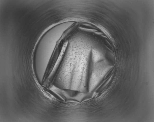 X0000082970854200702230005