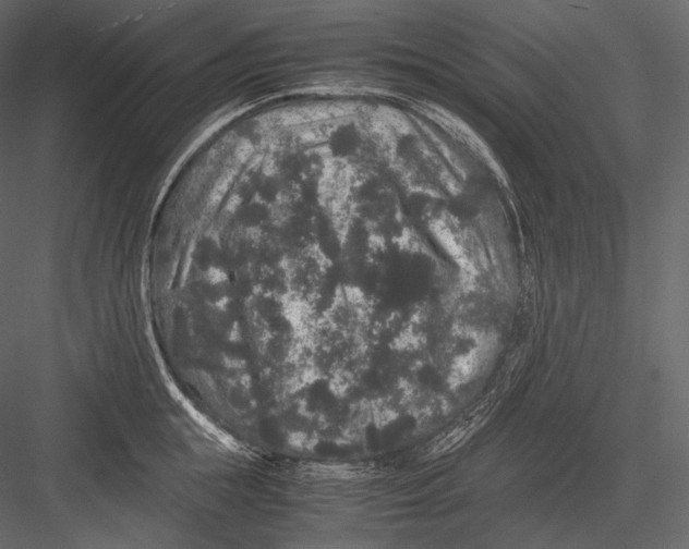 X0000082970855200702230005