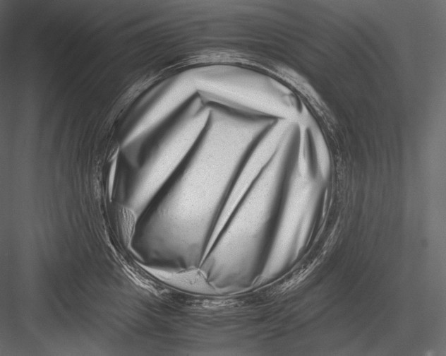 X0000082970857200702230005