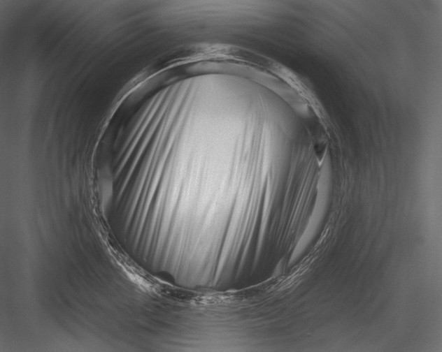 X0000082970858200702230005