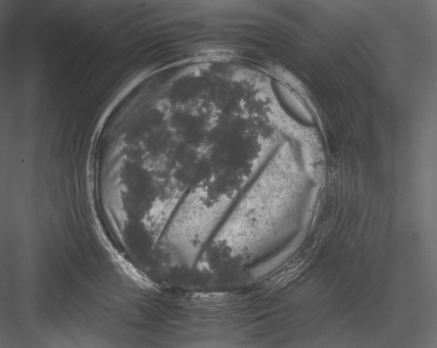 X0000082970859200702230005