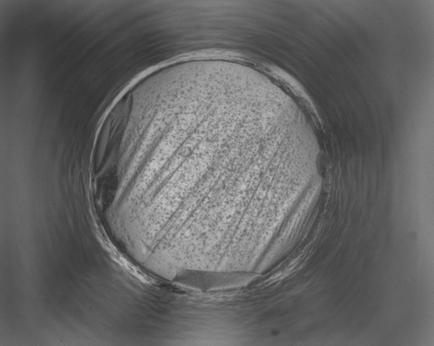 X0000082970860200702230005