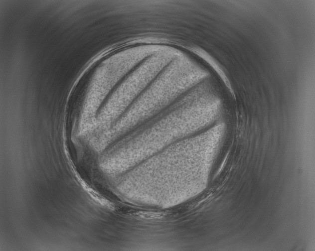 X0000082970861200702230005