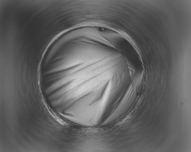 X0000082970862200702230005