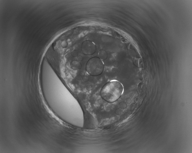 X0000082970863200702230005