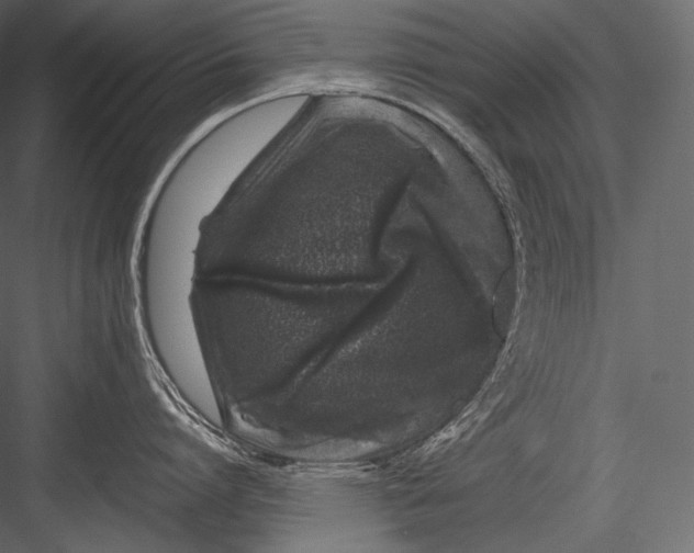 X0000082970864200702230005