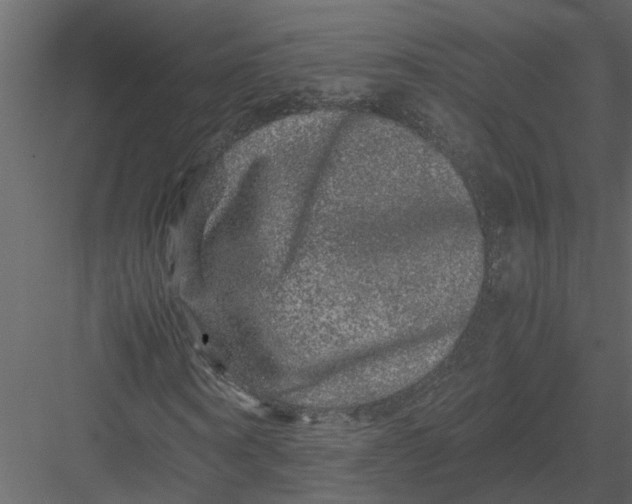 X0000082970866200702230004