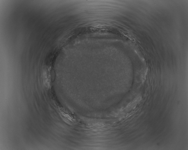X0000082970868200702230004