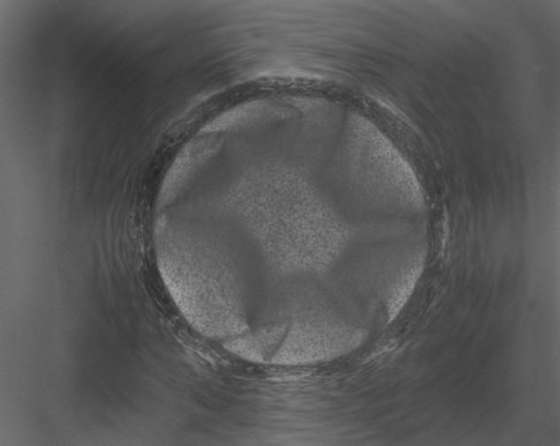 X0000082970870200702230004