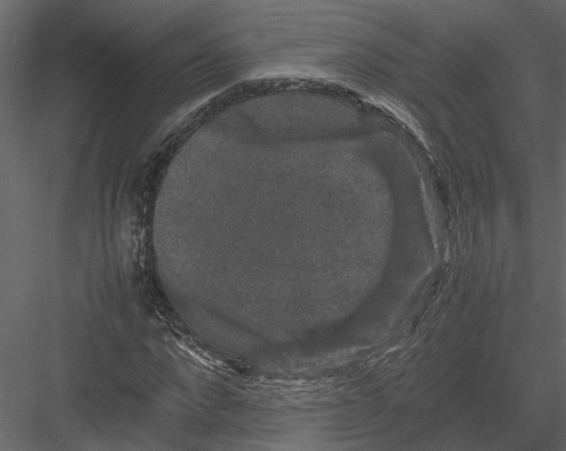 X0000082970872200702230004