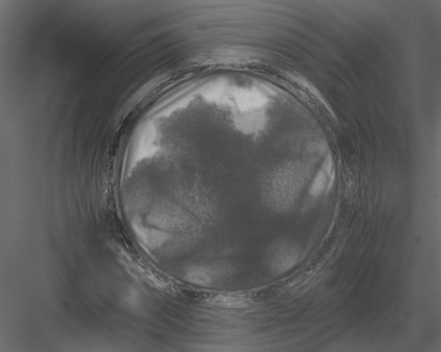 X0000082970874200702230004