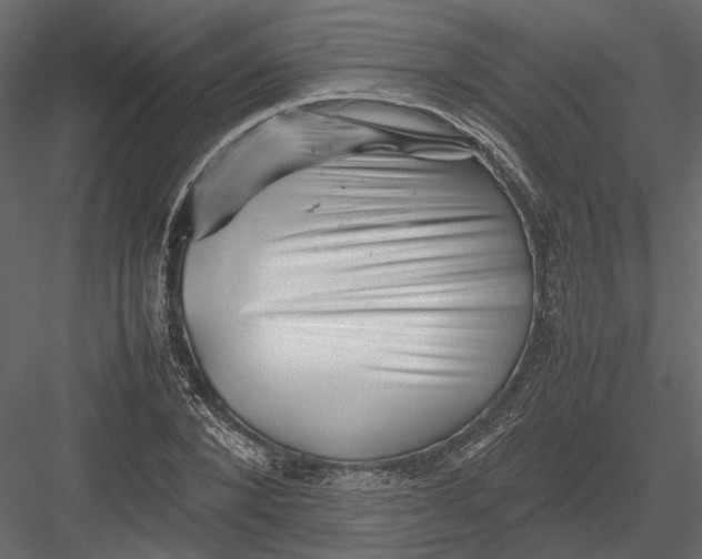 X0000082970880200702230004