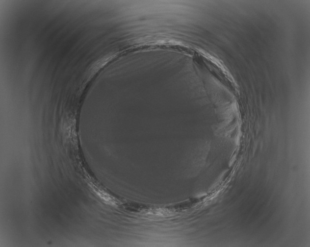 X0000082970881200702230004