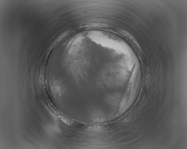 X0000082970882200702230004