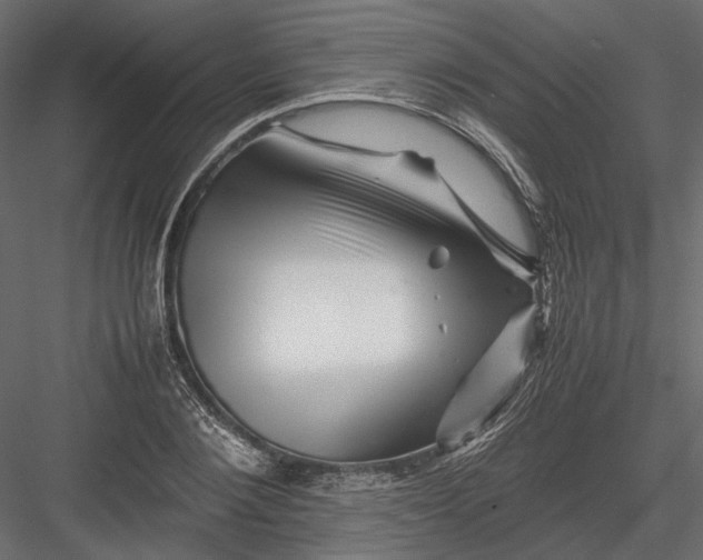 X0000082970884200702230004