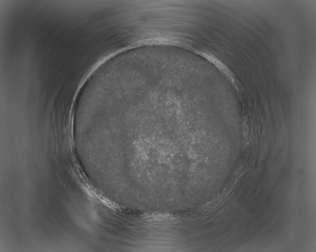 X0000082970886200702230004