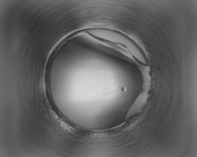 X0000082970888200702230004