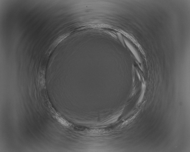 X0000082970889200702230004