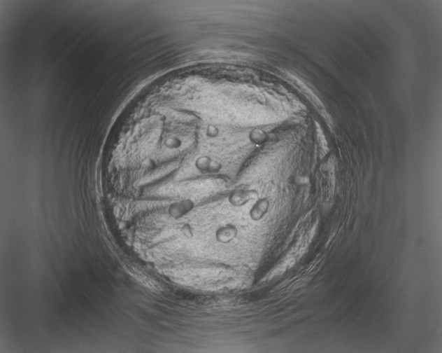 X0000082970891200702230004