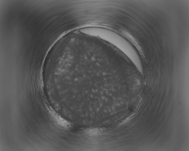 X0000082970892200702230004