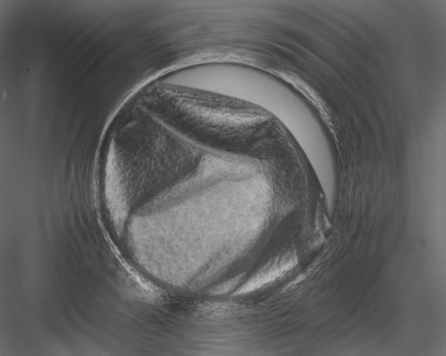 X0000082970894200702230004