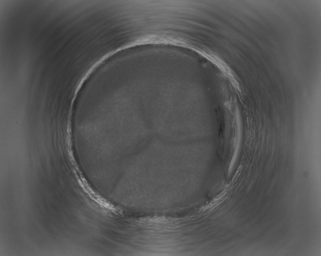 X0000082970896200702230004