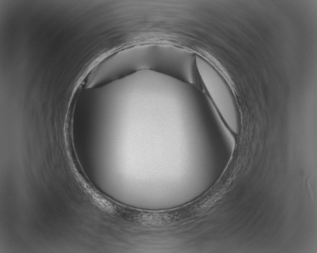 X0000082970901200702230004