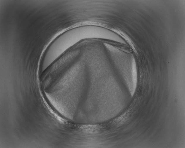 X0000082970902200702230004