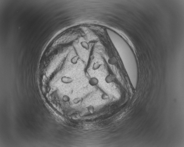 X0000082970903200702230004