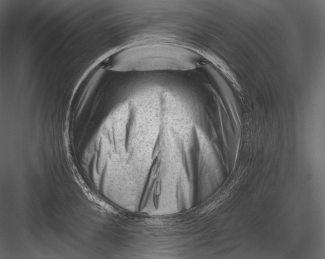 X0000082970904200702230004