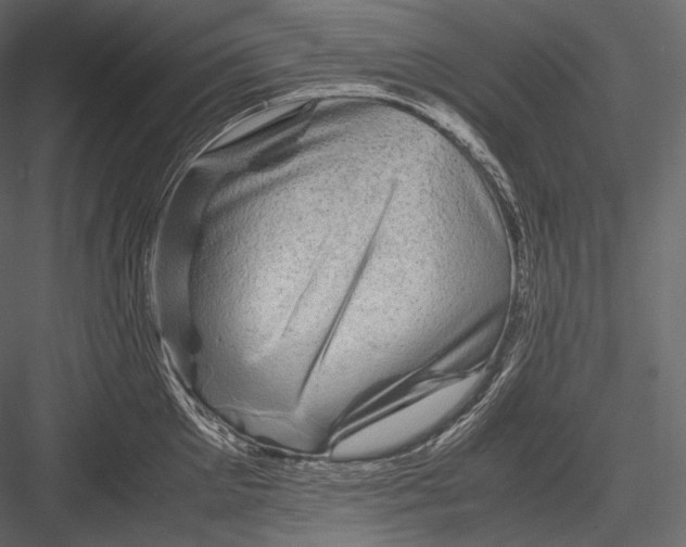 X0000082970905200702230004