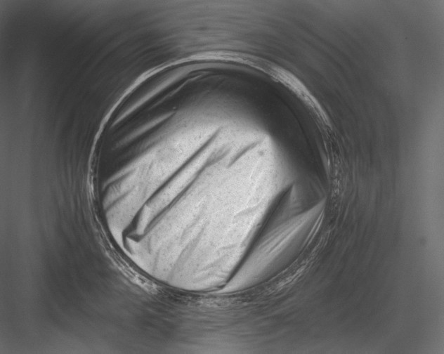 X0000082970908200702230003