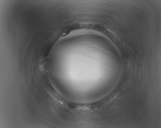 X0000082970914200702230003