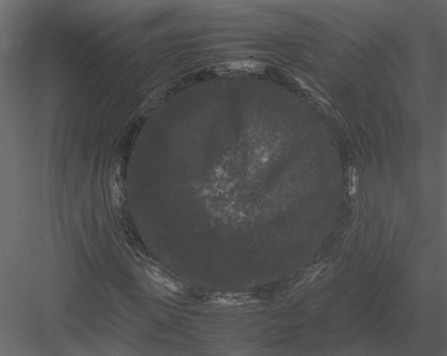 X0000082970915200702230003