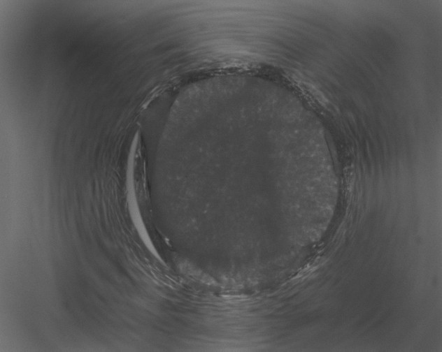 X0000082970916200702230003