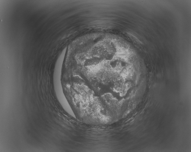 X0000082970917200702230003