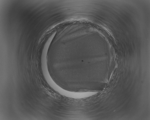 X0000082970920200702230003
