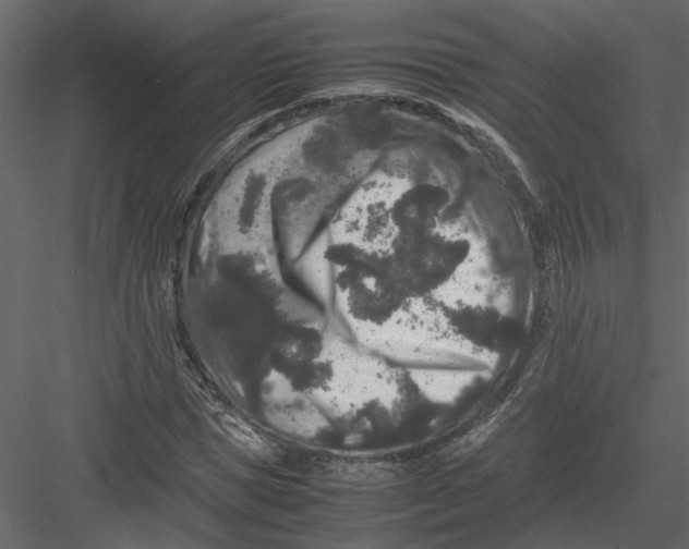 X0000082970921200702230003