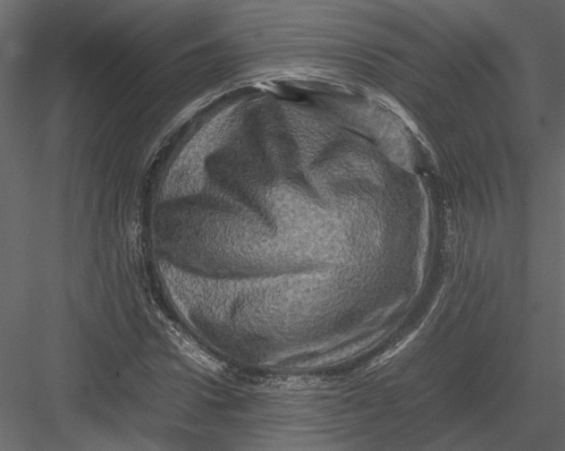 X0000082970922200702230003