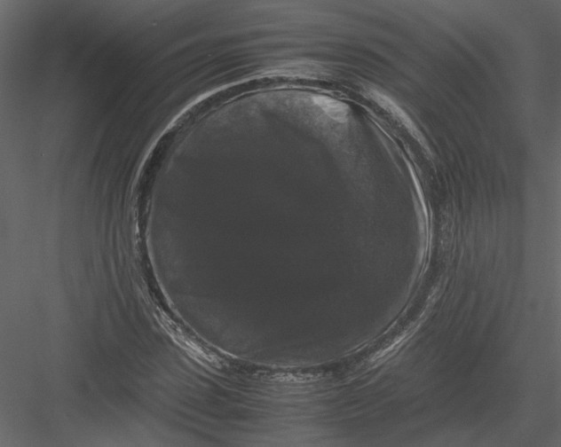 X0000082970923200702230003