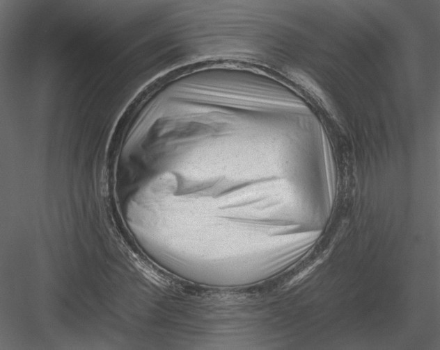 X0000082970924200702230003