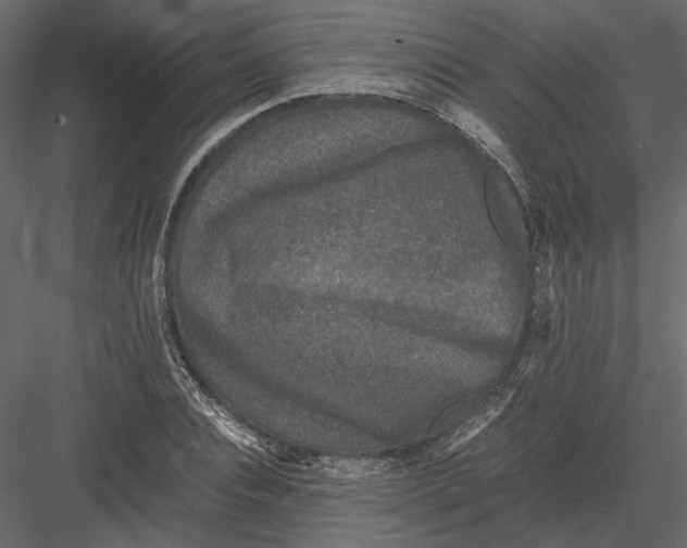 X0000082970928200702230003