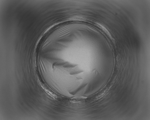 X0000082970931200702230003