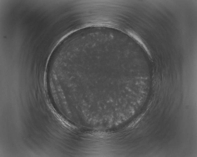 X0000082970932200702230003