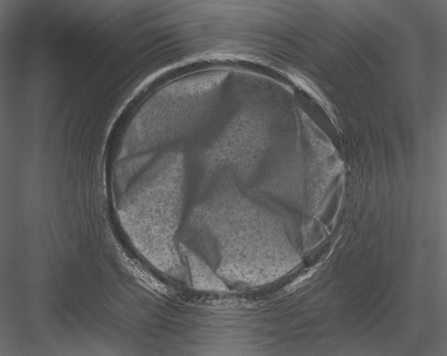 X0000082970934200702230003