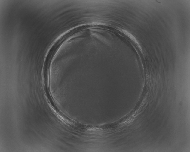 X0000082970935200702230003