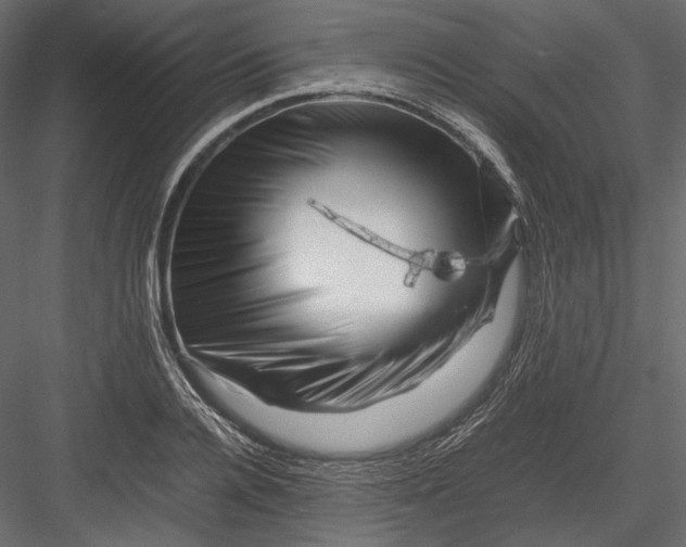X0000082970936200702230003