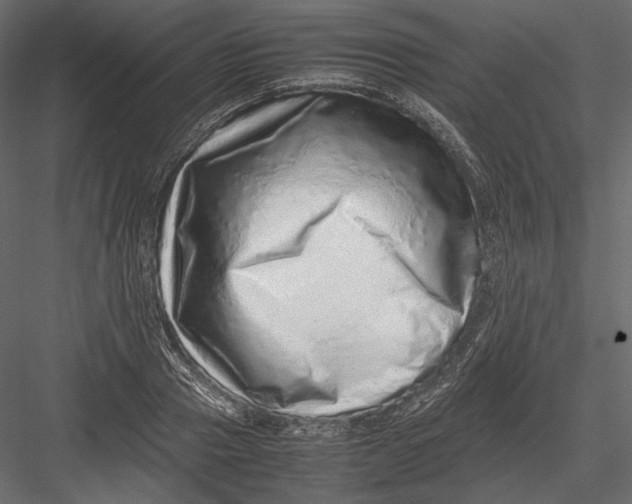 X0000082970937200702230003