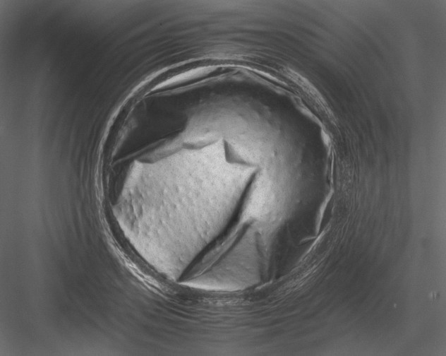 X0000082970939200702230003