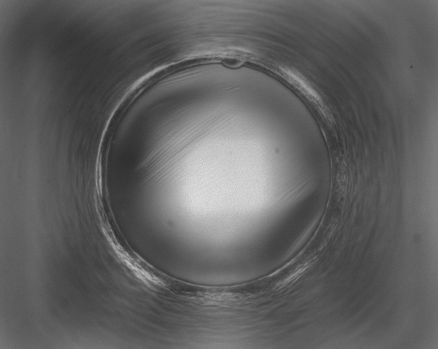 X0000082970940200702230003